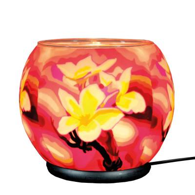 Leuchtglas elektrisch XXL Lampe 417 Magnolia 30cm Dekoleuchte Windlicht Kerzenfarm - 0