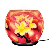 Leuchtglas elektrisch XXL Lampe 417 Magnolia 30cm Dekoleuchte Windlicht Kerzenfarm