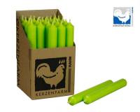 Stabkerze apfelgrün 180x22 mm aus Paraffin Tafelkerze Deko Tischkerze